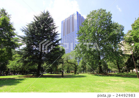 戸山公園 24492983