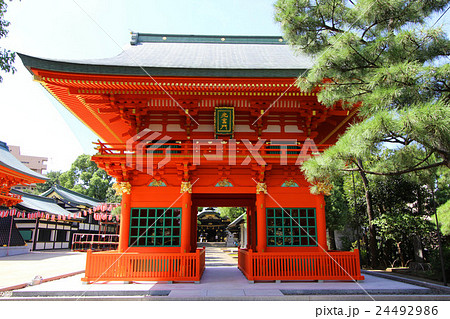 穴八幡宮 24492986