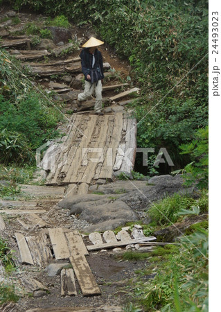 御嶽山 御嶽山 24493023