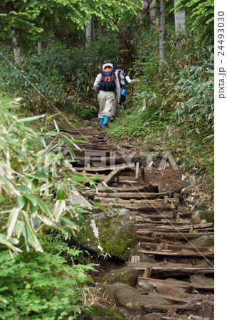 御嶽山 御嶽山 24493030