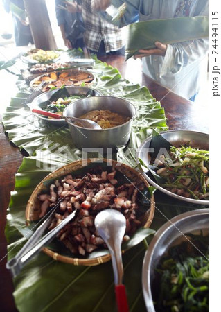 Luan mountain forest museum Luan mountain forest museum 24494115