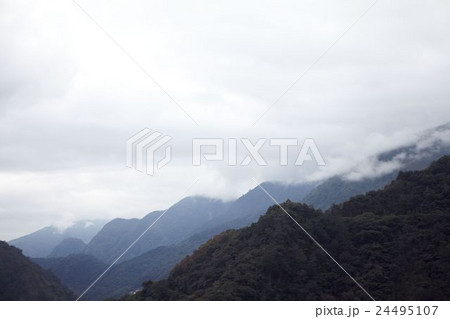 mountain tea gardon mountain tea gardon 24495107
