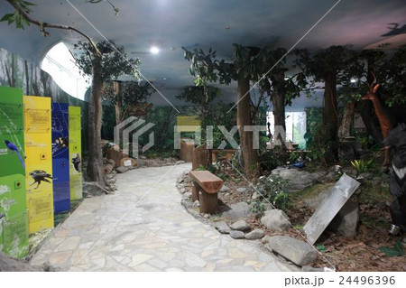 Tawu nature education center Tawu nature education center 24496396