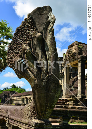 アンコール遺跡群 アンコール・ワット 蛇神ナーガ 世界遺産 世界文化遺産 カンボジアの写真素材 [24496734] - PIXTA