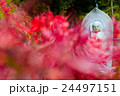 彼岸花とお地蔵さん 24497151