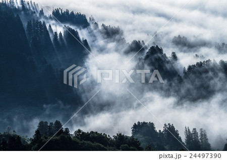 新潟県長岡市山古志 大雲海と光芒の森 新潟県長岡市山古志 大雲海と光芒の森 24497390