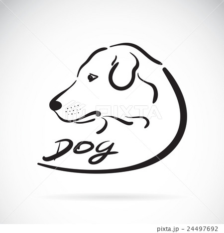 Vector of a dog head logo on white background.  24497692