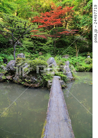 内々神社 内々神社 24497719