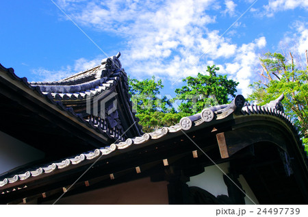 掛川城御殿 24497739