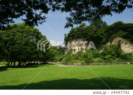 横浜 本牧市民公園 横浜 本牧市民公園 24497792