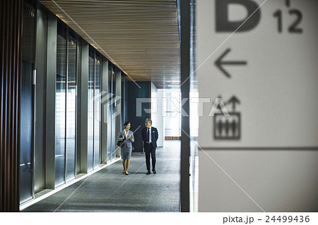 オフィスビル　エレベーターホール 24499436