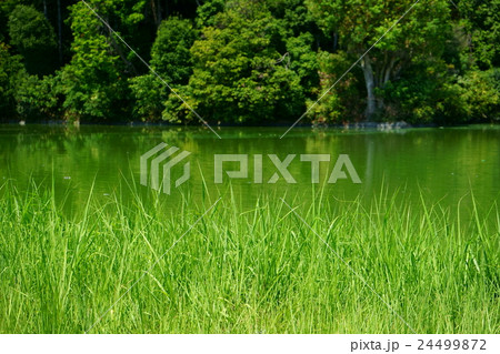 菅原伏見東陵(垂仁天皇)の堀 菅原伏見東陵(垂仁天皇)の堀 24499872