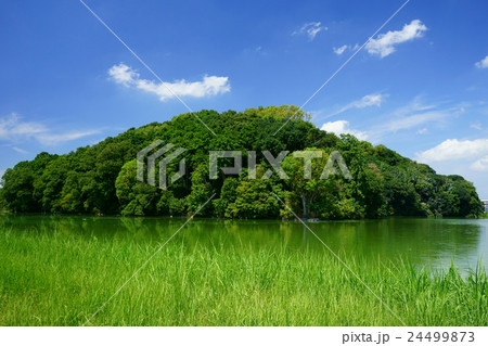 菅原伏見東陵（垂仁天皇） 24499873