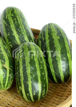 縞瓜　4本 24500039