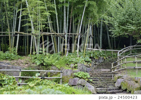 江南竹林 仙巌園 江南竹林 仙巌園 24500423