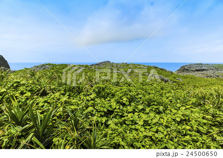 通り池 鍋底池 24500650