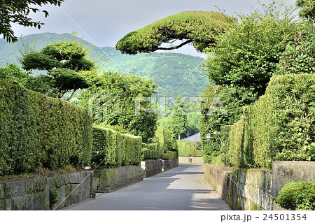 知覧武家屋敷群 知覧武家屋敷群 24501354