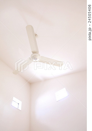 シーリングファン 24505406