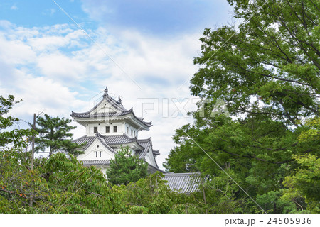 大垣城の風景 大垣城の風景 24505936