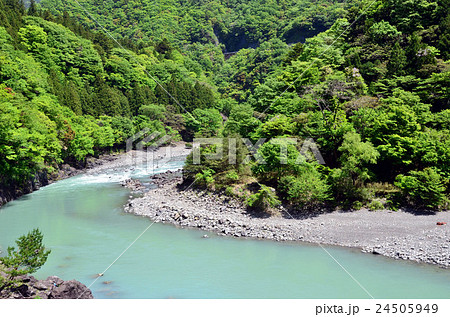 大井川（静岡県） 24505949