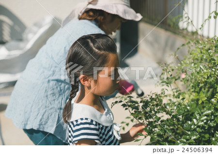 Japanese woman golfer , housewife Japanese woman golfer , housewife 24506394