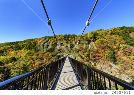 紅葉 鬼怒楯岩大吊橋 日光 紅葉 鬼怒楯岩大吊橋 日光 24507611