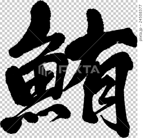 鮪 24508377