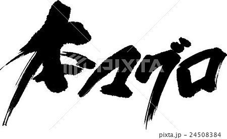 本マグロ 24508384