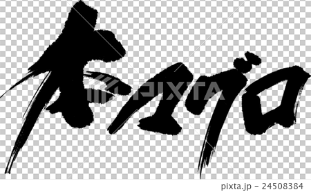 本マグロ 24508384