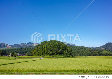 田園風景 田園風景 24508839