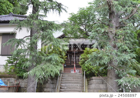 ひなびた神社 24508897
