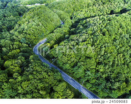 峠道（空撮） 24509083