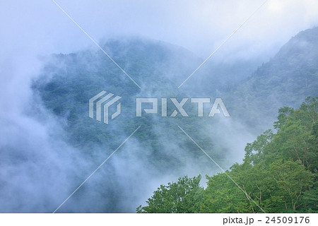 霧降高原 24509176