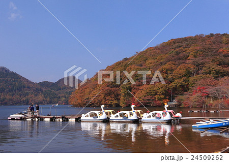 榛名湖 紅葉 榛名湖 紅葉 24509262