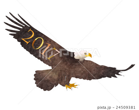 酉 鷹 年賀状 アイコン 酉 鷹 年賀状 アイコン 24509381