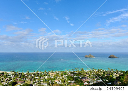ハワイの休日 ハワイの休日 24509405