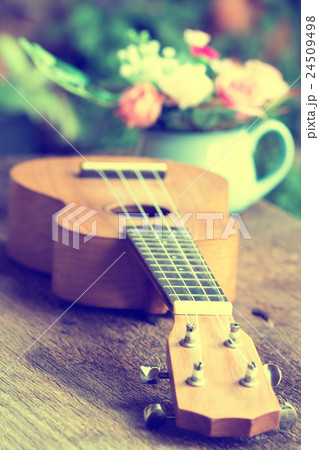 Ukulele over old wood Ukulele over old wood 24509498