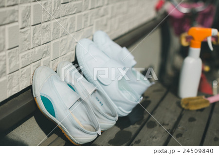 Japanese woman golfer , housewife Japanese woman golfer , housewife 24509840