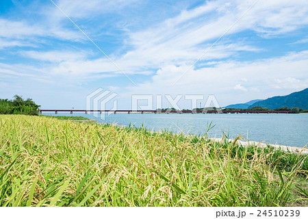 由良川橋梁 24510239