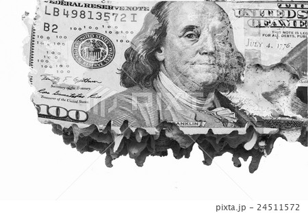 The dollars bank with termites damage 24511572