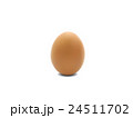 Single brown eggs isolated on white, vector 24511702