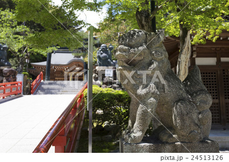 清荒神拝殿の狛犬 清荒神拝殿の狛犬 24513126
