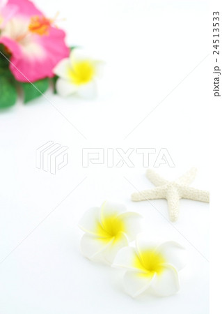 夏イメージ 夏イメージ 24513533