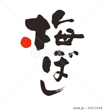 梅ぼし 梅ぼし 24513549