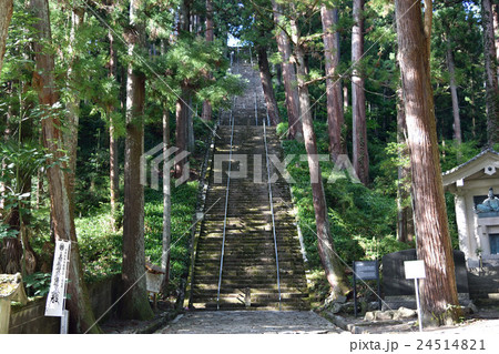 菩提梯（身延山久遠寺） 24514821