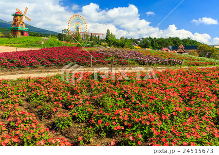 ぐりんぱ　天空のダリア祭り 24515673