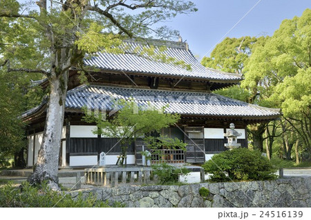 観世音寺　大宰府 24516139