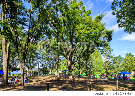東京　赤塚公園のバーベキュー広場 24517348
