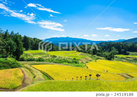 田園風景 24519186