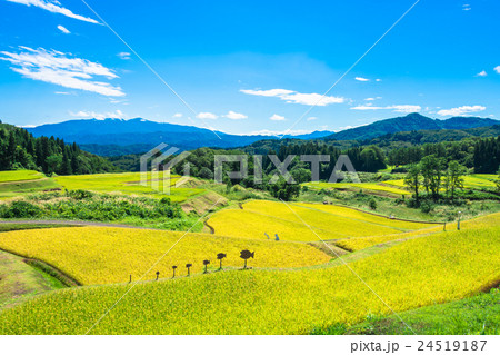 田園風景 田園風景 24519187
